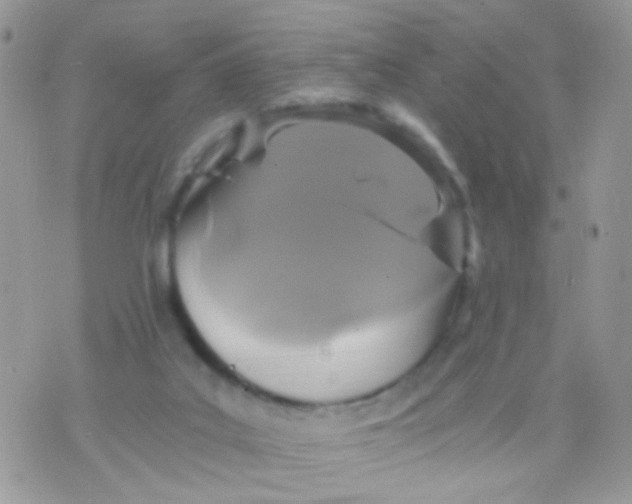 X0000071860019200607211928