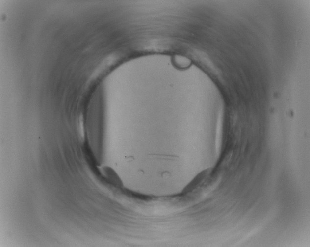 X0000071860020200607211928