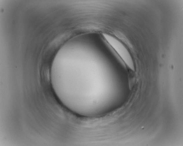 X0000071860021200607211928