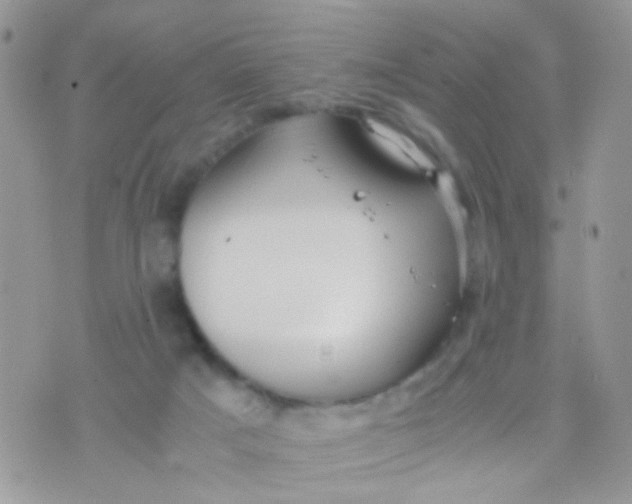 X0000071860025200607211928