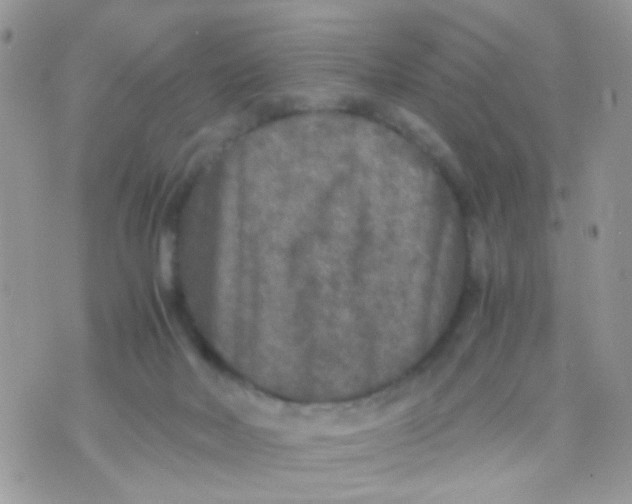 X0000071860026200607211928