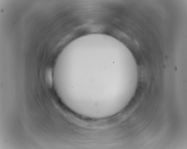 X0000071860028200607211928