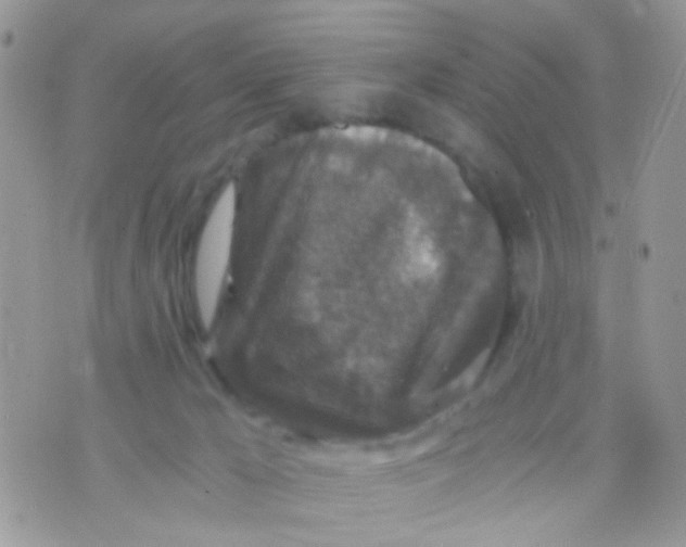 X0000071860029200607211928