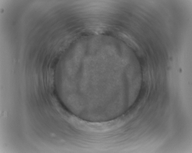 X0000071860030200607211928