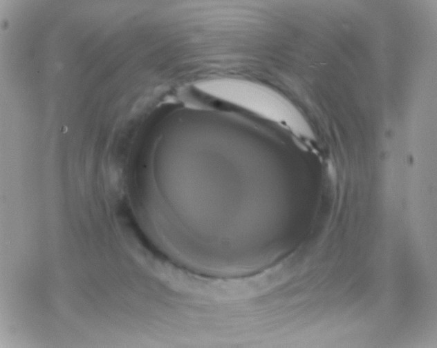 X0000071860031200607211928