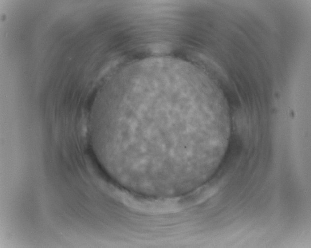 X0000071860032200607211928