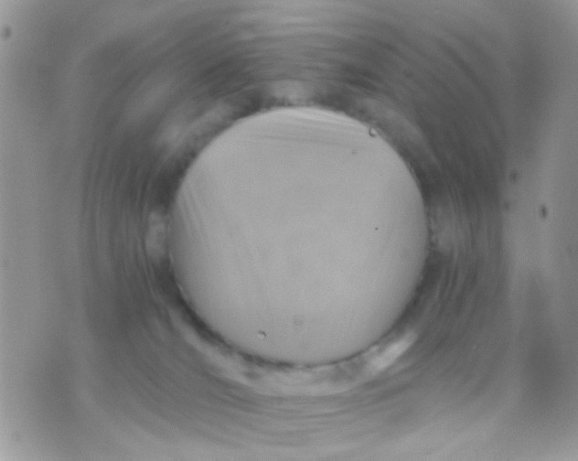 X0000071860036200607211928