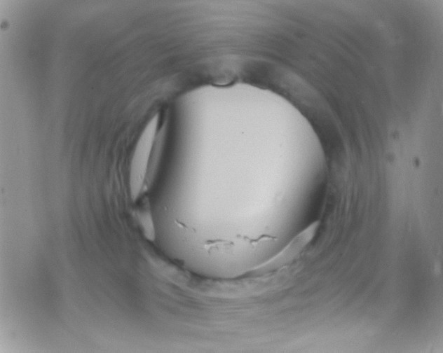 X0000071860037200607211928