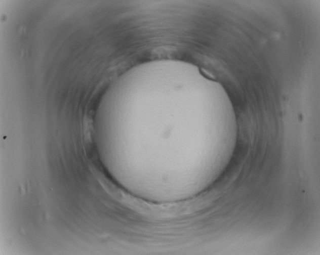 X0000071860038200607211928