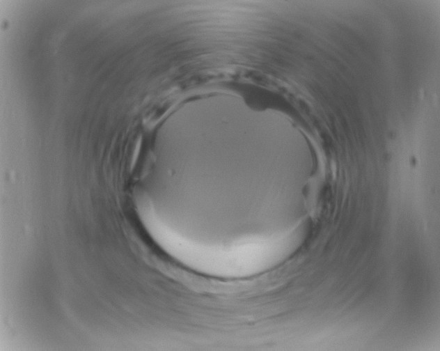 X0000071860039200607211928