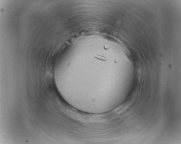 X0000071860040200607211928