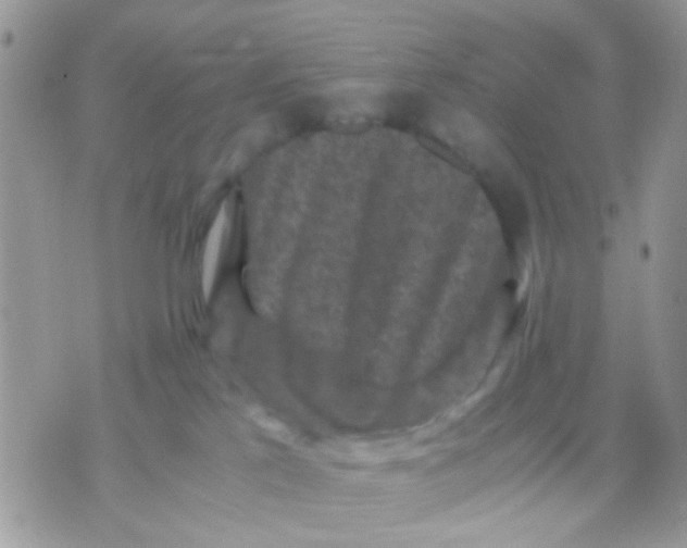 X0000071860041200607211928