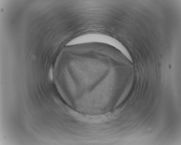 X0000071860042200607211928