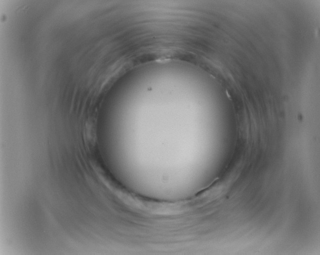 X0000071860044200607211928