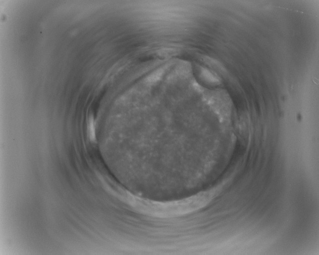 X0000071860046200607211928