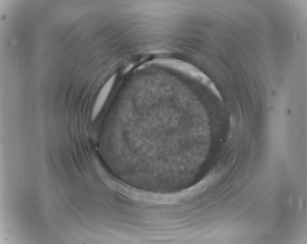 X0000071860048200607211928