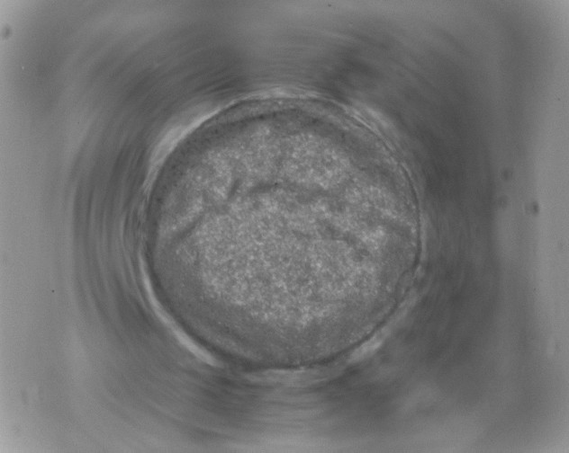 X0000071860049200607211927