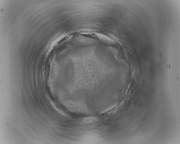 X0000071860050200607211927