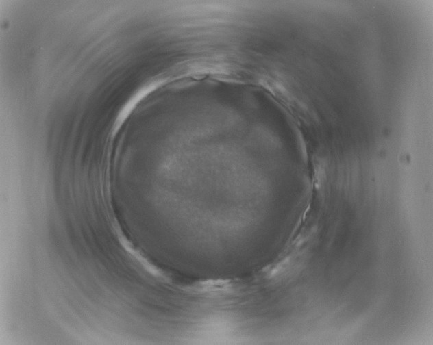 X0000071860052200607211927