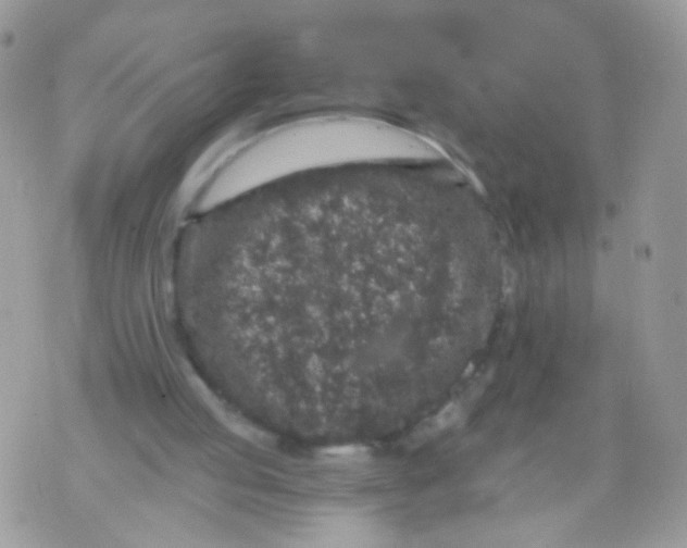 X0000071860053200607211927