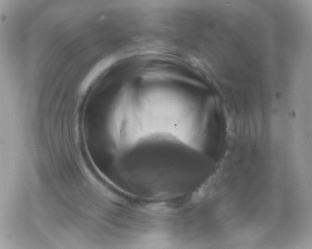 X0000071860054200607211927