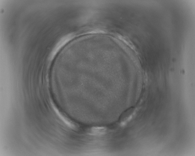 X0000071860055200607211927