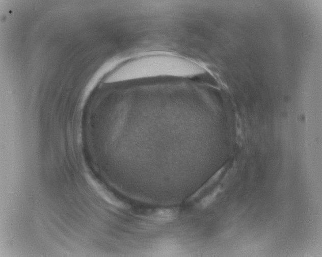 X0000071860056200607211927