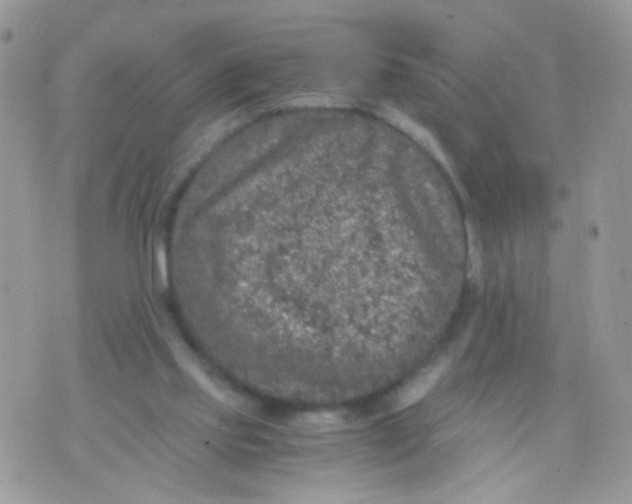 X0000071860061200607211927