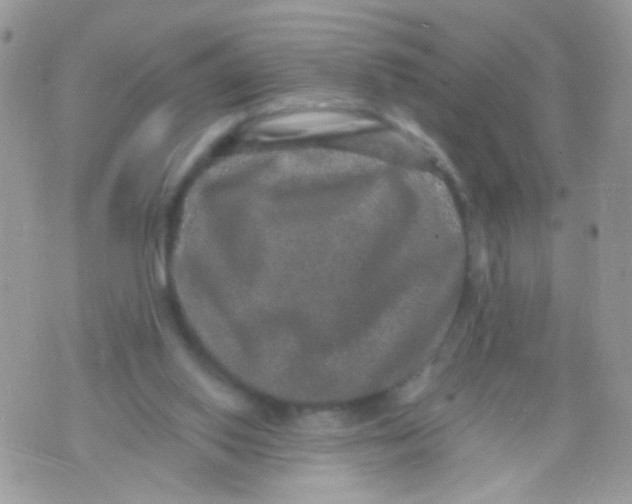 X0000071860062200607211927