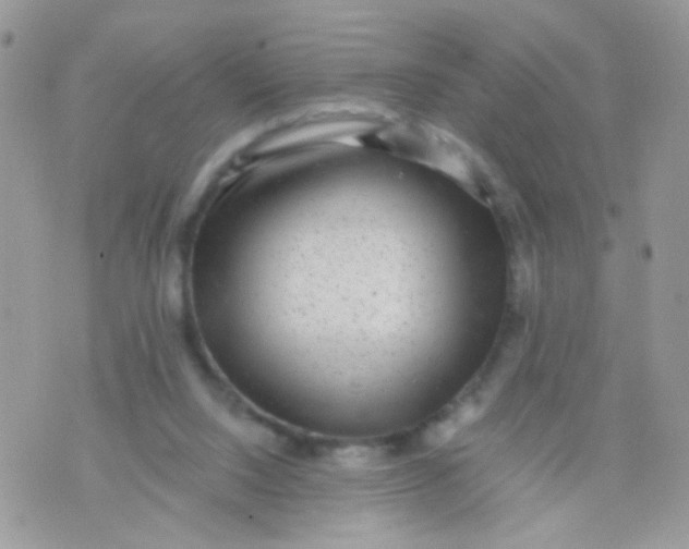 X0000071860064200607211927