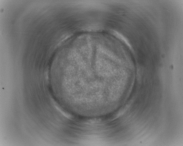 X0000071860065200607211928