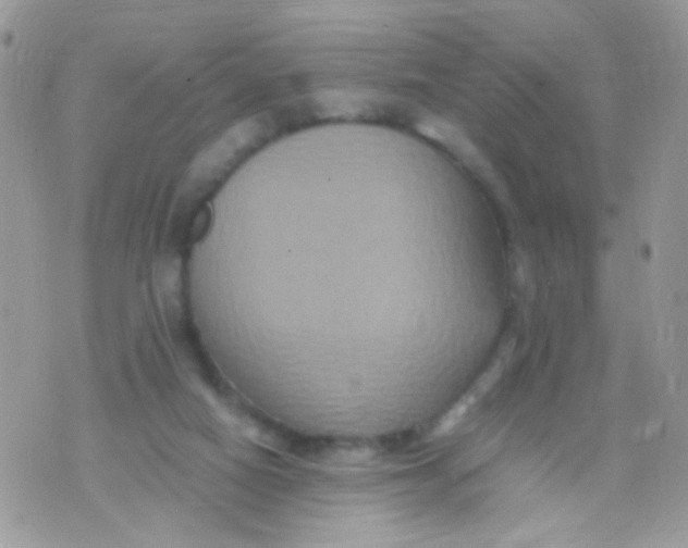 X0000071860066200607211928