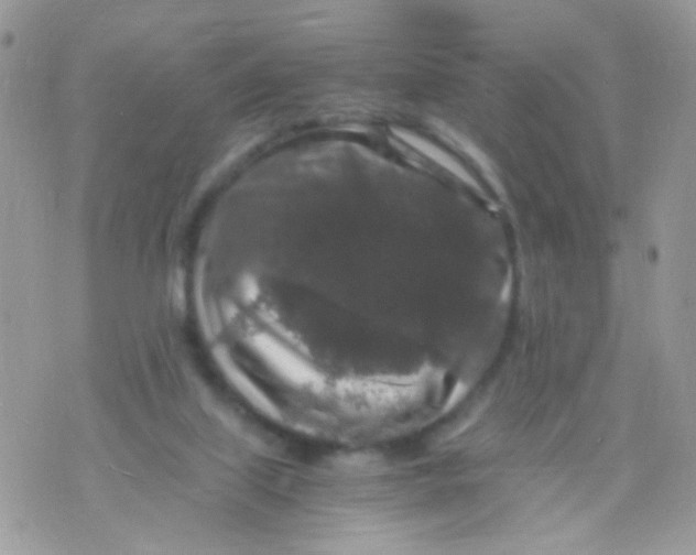 X0000071860067200607211928