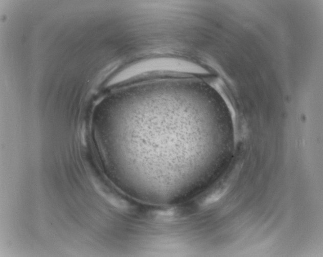 X0000071860068200607211928