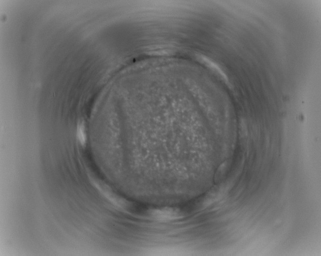 X0000071860069200607211928