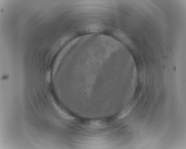 X0000071860070200607211928