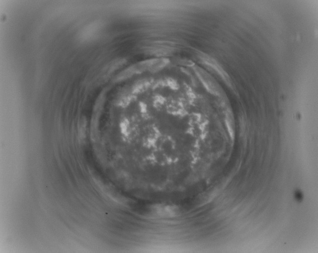 X0000071860073200607211928