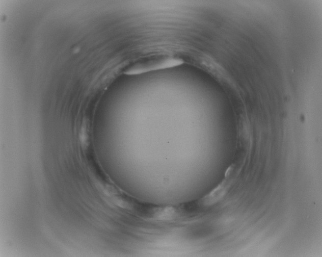 X0000071860074200607211928