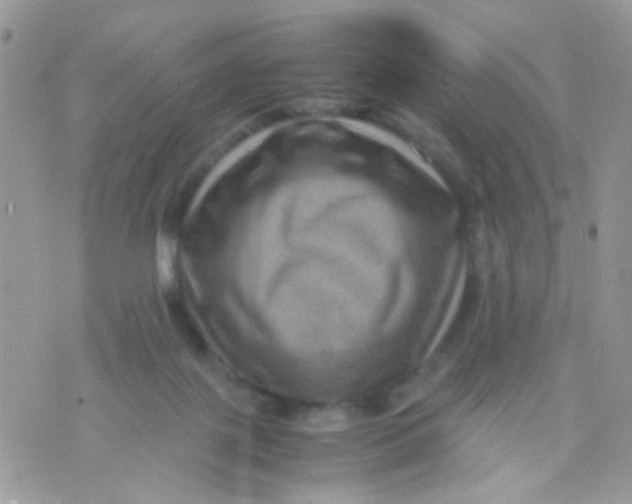 X0000071860075200607211928