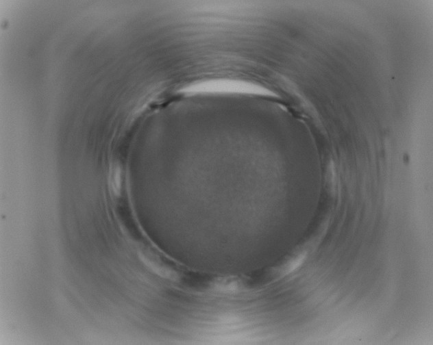 X0000071860076200607211928