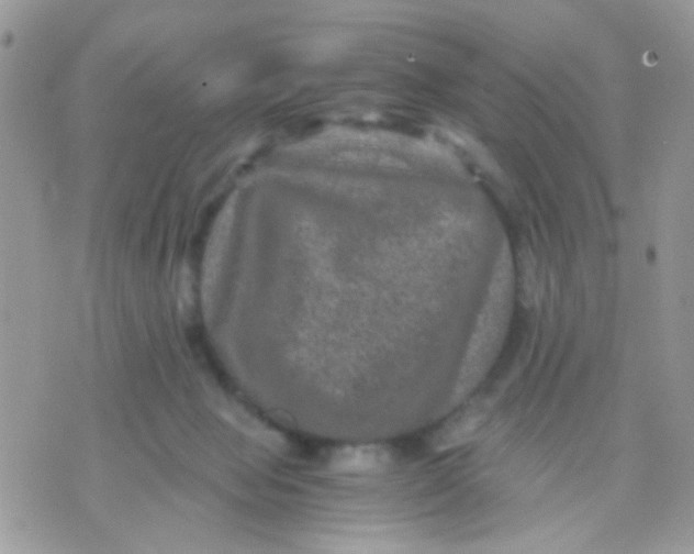 X0000071860077200607211928