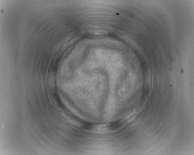 X0000071860078200607211928