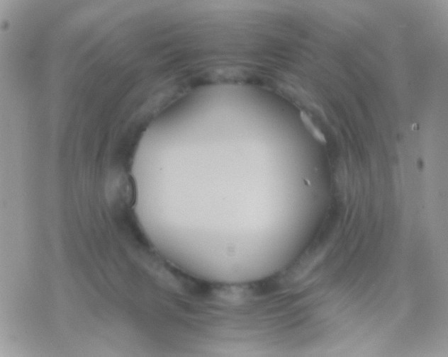 X0000071860079200607211928