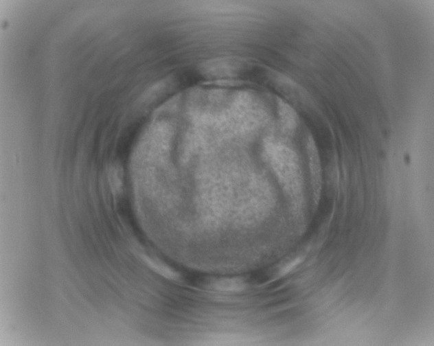 X0000071860081200607211928