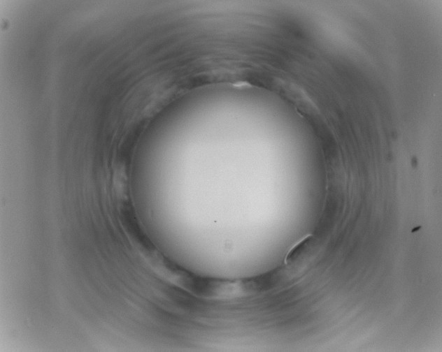 X0000071860083200607211928