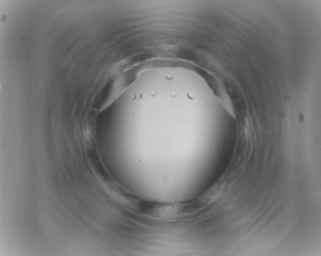 X0000071860084200607211928