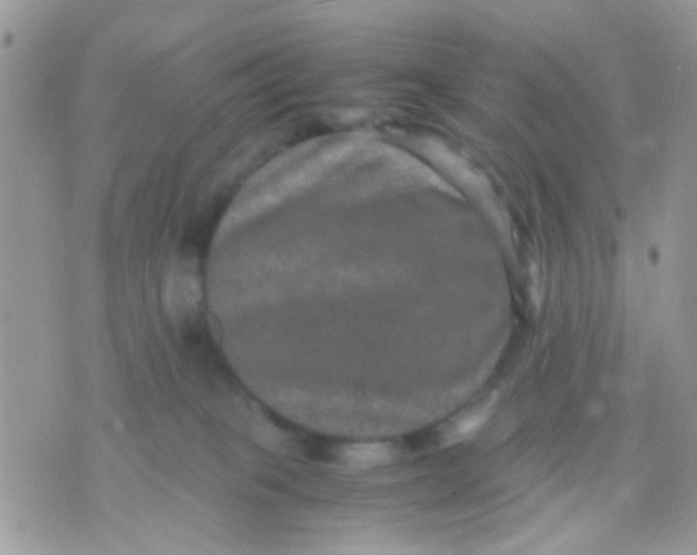 X0000071860085200607211928