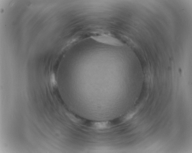 X0000071860089200607211928