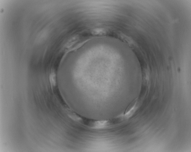 X0000071860090200607211928