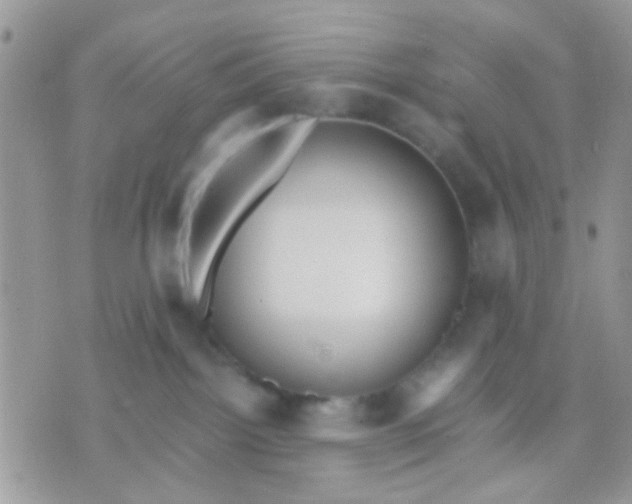 X0000071860092200607211928